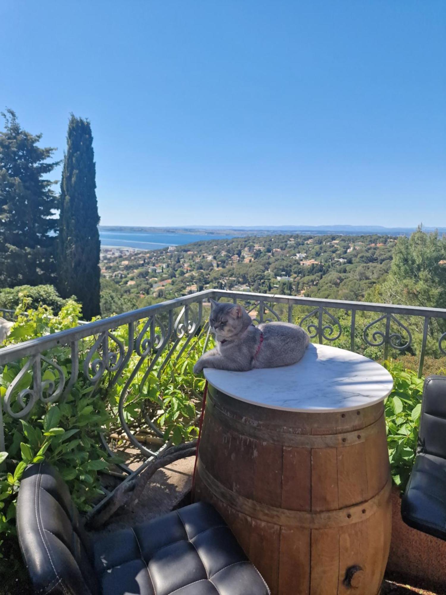 Villa Clarte *