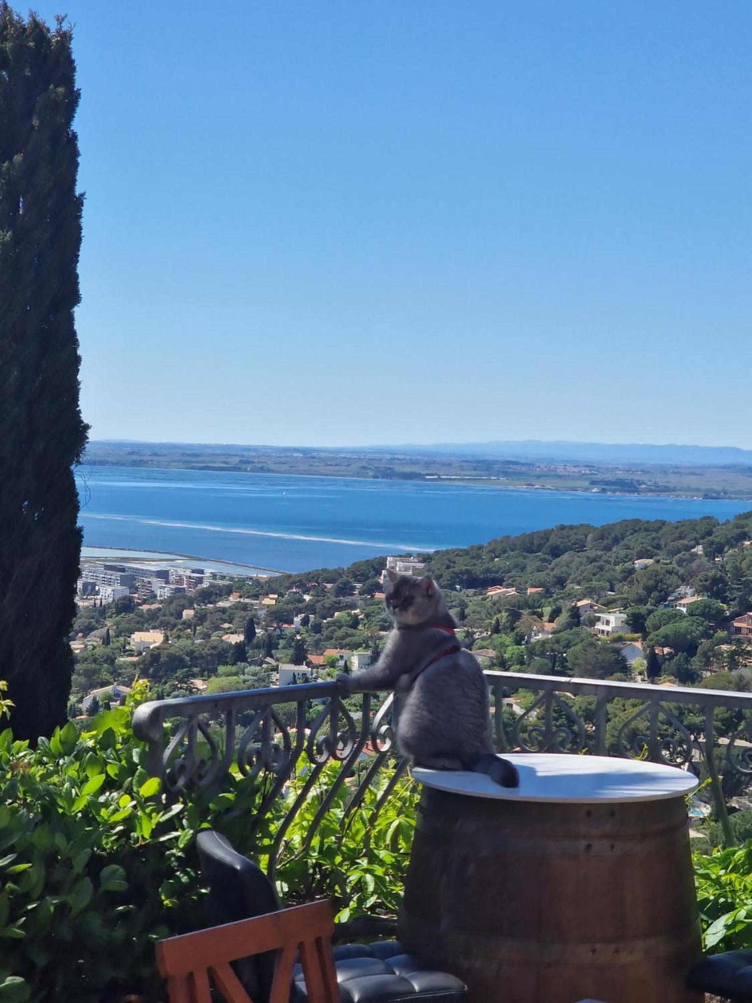 Villa Clarte